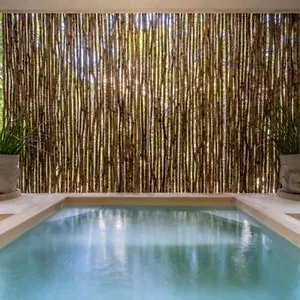 Casa Cenote Private Pool Gated , Tulum Mexico